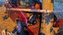 Bigadiç'te Ağaca Çarpan Otomobilde 2 Ölü 6 Yaralı!