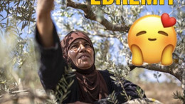 Yediğimiz Zeytin'in Midemize Yolculuğu