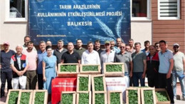 Balıkesir’de 212.000 Sebze Fidesi Üreticilere Ulaştı
