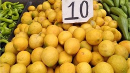 Balıkesir Pazarında Limon Fiyatları Çakıldı!