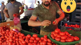 Pazar Pazarında Salçalık Domatesi Kapış Kapış Gitti