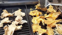 Mangalın Yeni Gözdesi: İstiridye Mantarı
