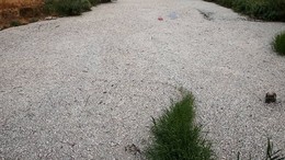 Yunanistan'da Volos Kentinde Ekolojik Felaket