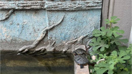 Erdek'te Süs Havuzu İtalya'yı Aratmıyor