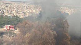 Çamlık Mesire Alanında Yangın Paniği