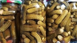 Sındırgı Kornişonu İle Kavanozlarınızı Hazırlayın!