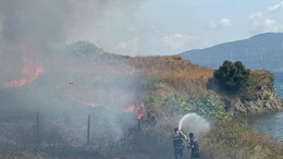 Paşalimanı Adası’ndaki Yangın Kontrol Altına Alındı