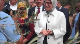 Vekil Uygur Yılın İlk Zeytin Hasadını Gerçekleştirdi