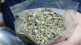 Dağ Kekiği ile Doğal Cilt Maskesi