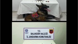 Balıkesir'de 4 Adrese Uyuşturucu Operasyonu!