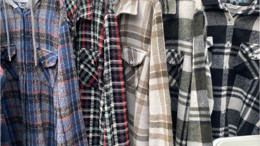 Balıkesir'de Sonbaharın Favorisi: Oduncu Gömlek