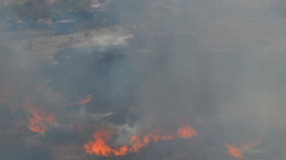 Adnan Menderes Mahallesi'nde ot yangını çıktı