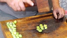 Erdek’te Dededen Kalma Kırma Zeytin Geleneği