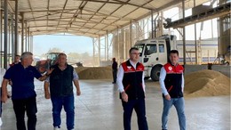 Balıkesir Çeltik Üretiminde Türkiye’nin Zirvesinde