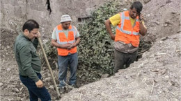 Sındırgı’da Pazar Mesaisi