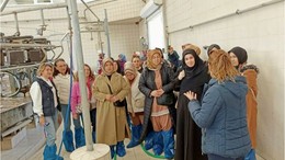 Kadın Üreticiler Manda Yetiştiriciliğinde Söz Sahibi