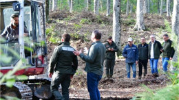 Balıkesir Kayın Ormanları Yeniden Canlanıyor