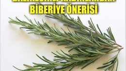 Biberiye Yağını Kullanmanız İçin 5 Sebep