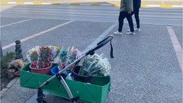 Bebek Arabasında Çiçek Açan Kazanç