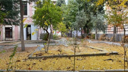 Balıkesir Kasım’da Sarıya Büründü