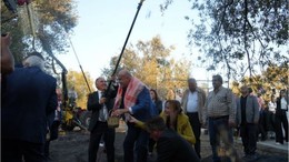 Bin Yıllık Ağaç Zeytin Verdi!