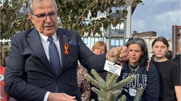 406 Solan Hayata 406 Fidan