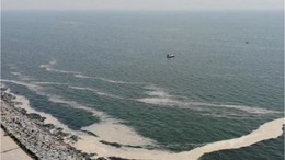 Marmara Tehdit Altında! Kabus Geri Döndü