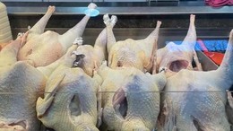 Balıkesir'de Yılbaşı Sofralarının Gözdesi Hindi ve Kestane