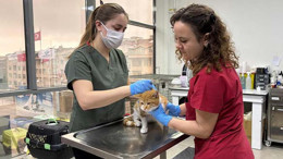 Bandırma’da 13.459 Can Tedavi Edildi