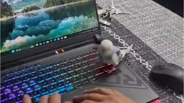 Çocukları Bilgisayardan Uzak Tutmak İçin Kesin Çözüm!