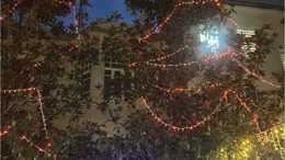 Balıkesir Yılbaşını Süslü Ağaçların kuşları ile Bekliyor