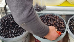 Açıkta Satılan Gıda Ürünleri Tehlike Saçıyor