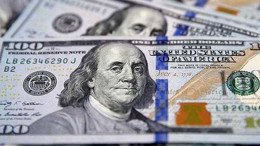 Dolar/TL Yeni Yıla Rekorla Başladı