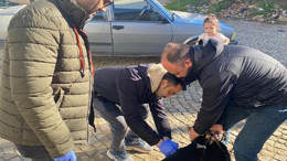 Gömeç’te Kuduzla Mücadele Devam Ediyor