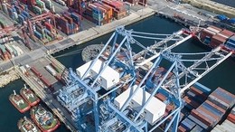 Yurt Dışı Üretici Fiyat Endeksi 2024 Aralık Ayı Verileri