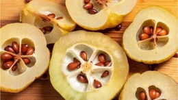 Balıkesir'de Kışın Cilt Bakımında Ayva Çekirdeği Kullanılıyor