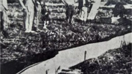 Balıkesir Tarihinde Çekirge Felaketi (1914)