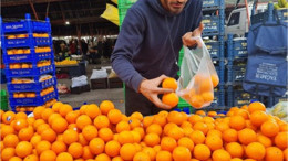 Pazarlarda Portakal Bolluğu