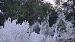 Kazdağı Bal Ormanı Buz Tuttu