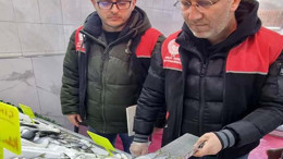 Balıkesir’de Eş Zamanlı Su Ürünleri Denetimleri Başlatıldı