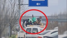 Kamyon Kasasında Tehlikeli Yolculuk!