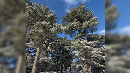 Kaz Dağları'nda Kartpostallık Görüntüler