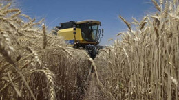 Tarım-ÜFE Ocak Ayında Arttı