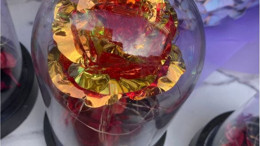 Sonsuzluk Gülü Balıkesir'de!