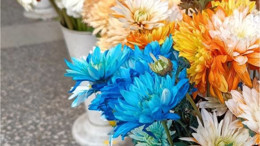 Balıkesir 14 Şubat'a Hazırlanıyor