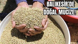 Sağlığınız İçin Doğal Mucize Balıkesir'de