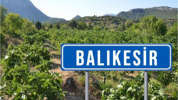 Balıkesir'de 4 Ağaç ve Anlamları