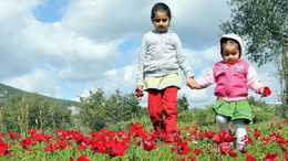 Son Cemre Ne Zaman Düşecek? 3. Cemre Toprağa Düştü mü?