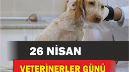 Balıkesir, Dünya Veterinerler Günü, Hayvan Hakları