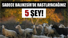 Sadece Balıkesir’de Bulabileceğiniz 5 Eşsiz Şey